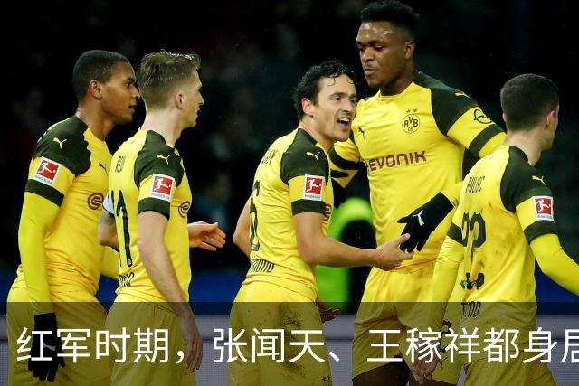 红军时期，张闻天、王稼祥都身居高位，为何后来渐渐淡出历史舞台？
